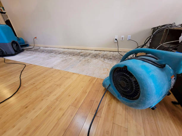 Reliable Basement Flood Cleanup contractor in Laurel, VA by Hirex Water Damage