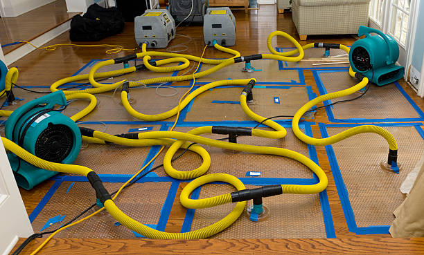 Professional Basement Flood Cleanup technician working in Laurel, VA